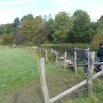 Panzió Haus Jola Nidrum