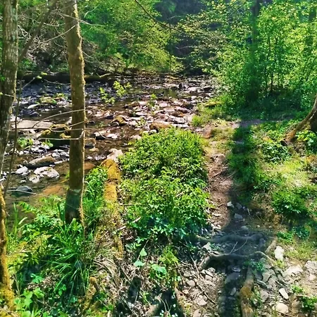 Haus Jola Bed & Breakfast 3*