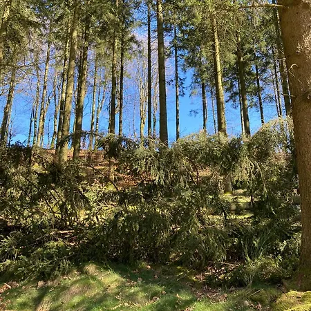 Haus Jola Bed & Breakfast Nidrum